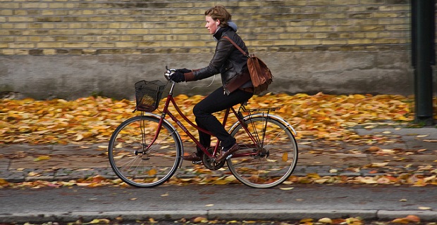 Diena be automobilio