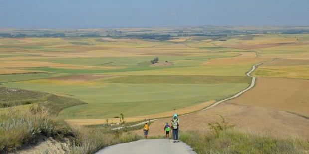 Camino de Santiago  