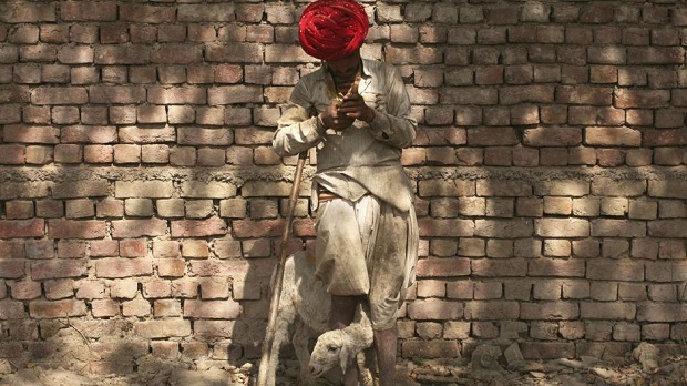 india-mobile-shepherd