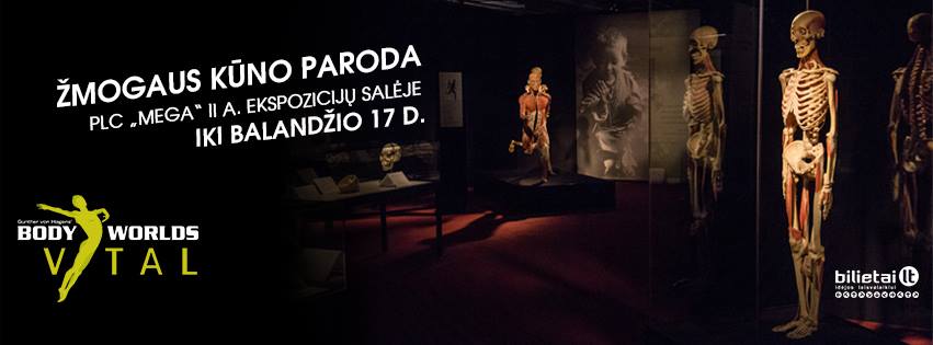 Body Worlds Vital