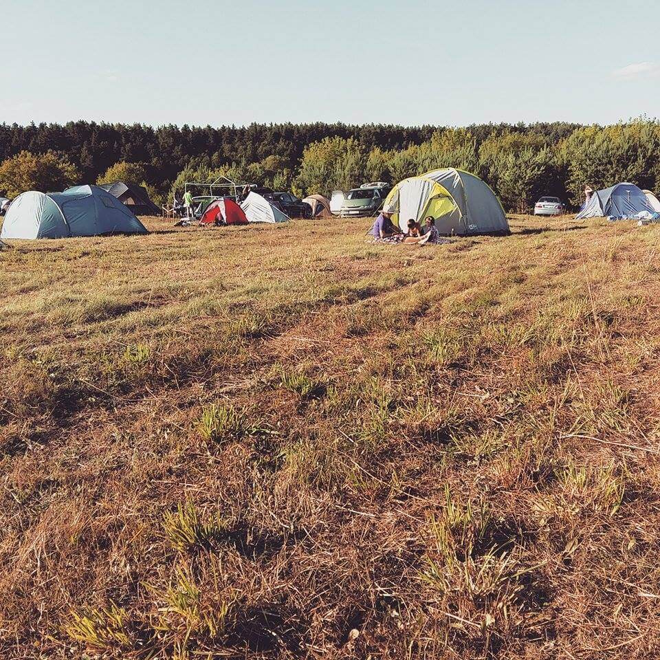 11749663_10204394445970485_156590264_n